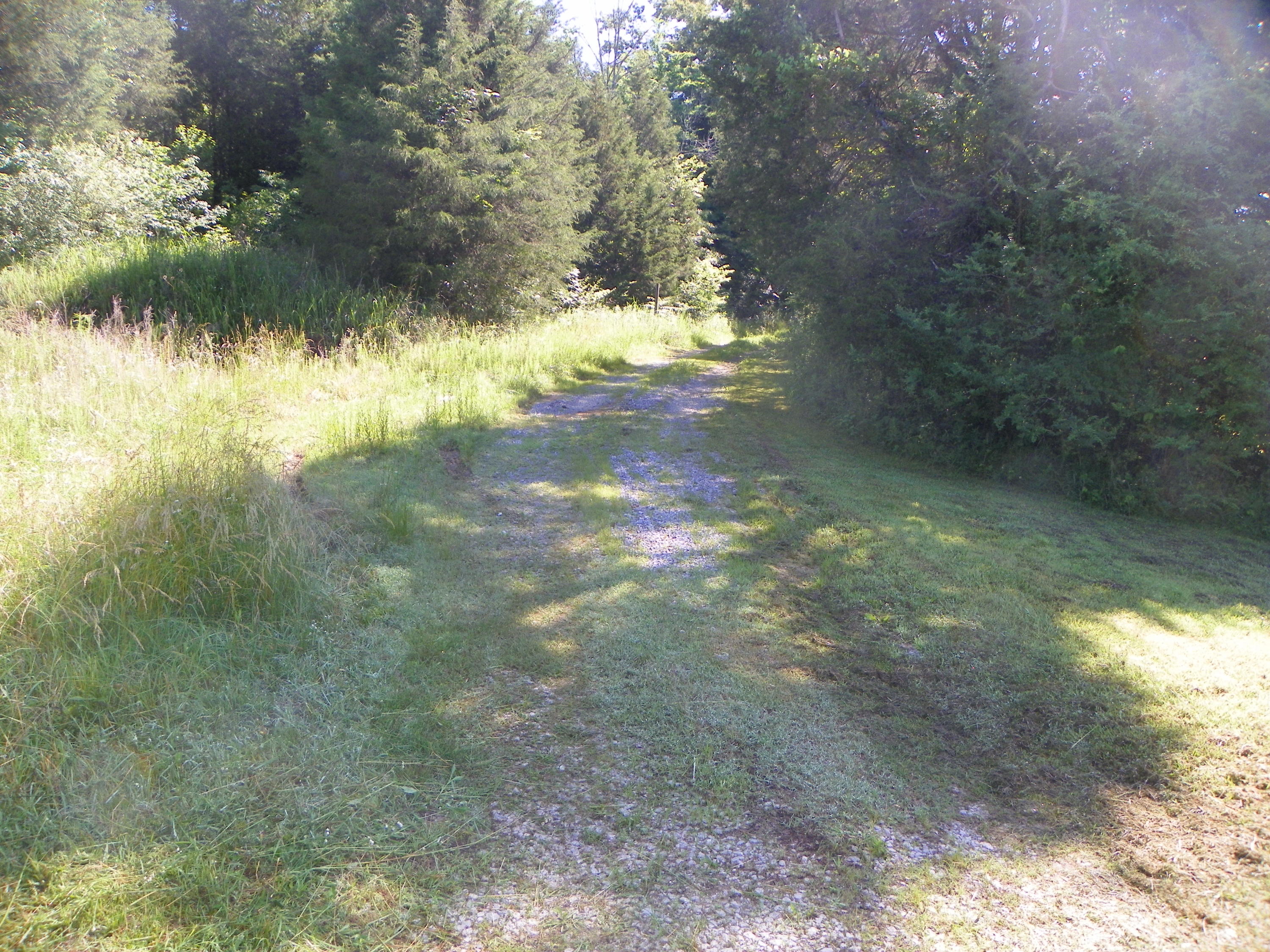 Fortenberry Road Strawberry Plains, TN 37871 - Photo 16 of 20 Drive