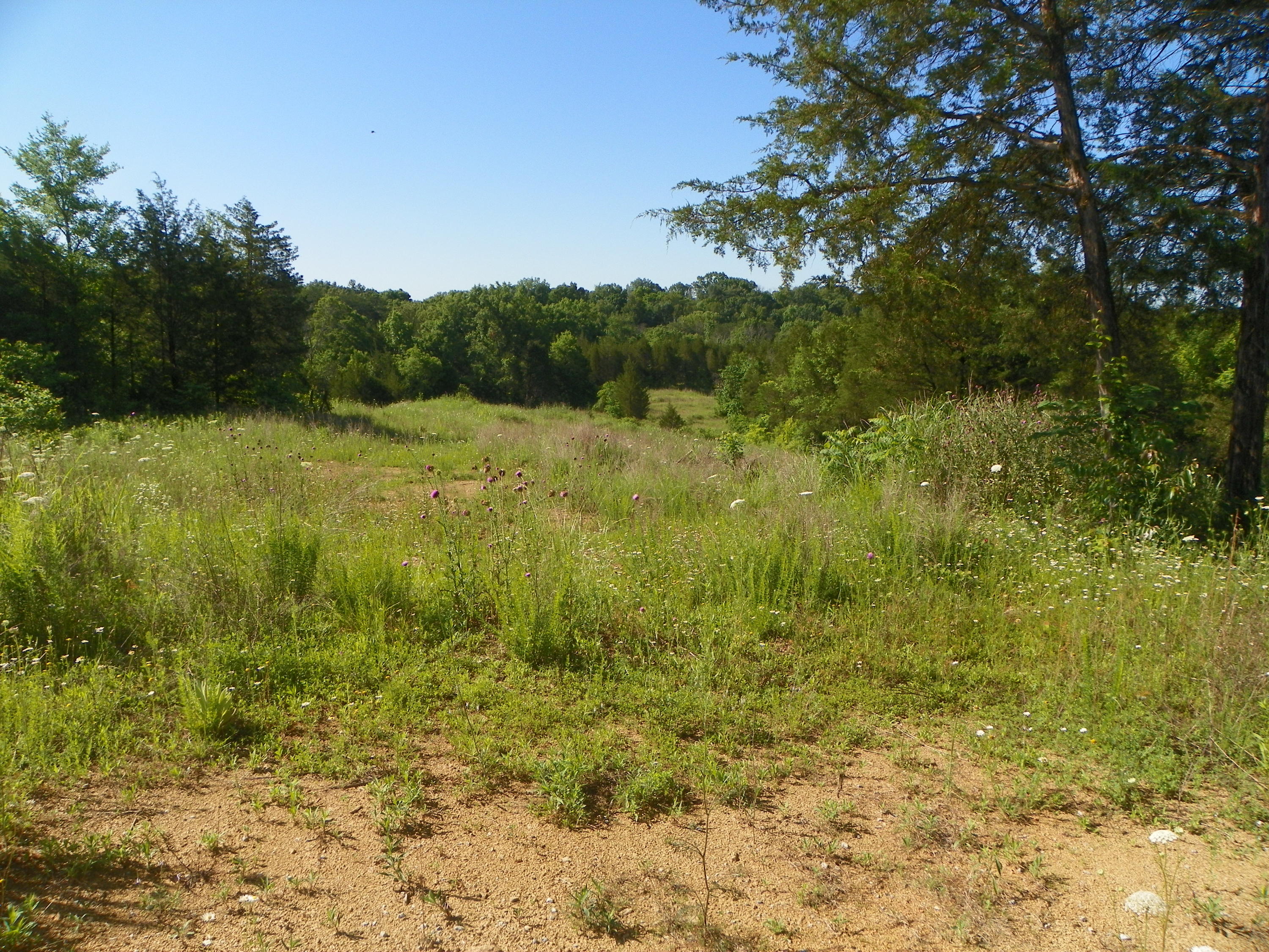 Fortenberry Road Strawberry Plains, TN 37871 - Photo 17 of 20 Potential....Dreams