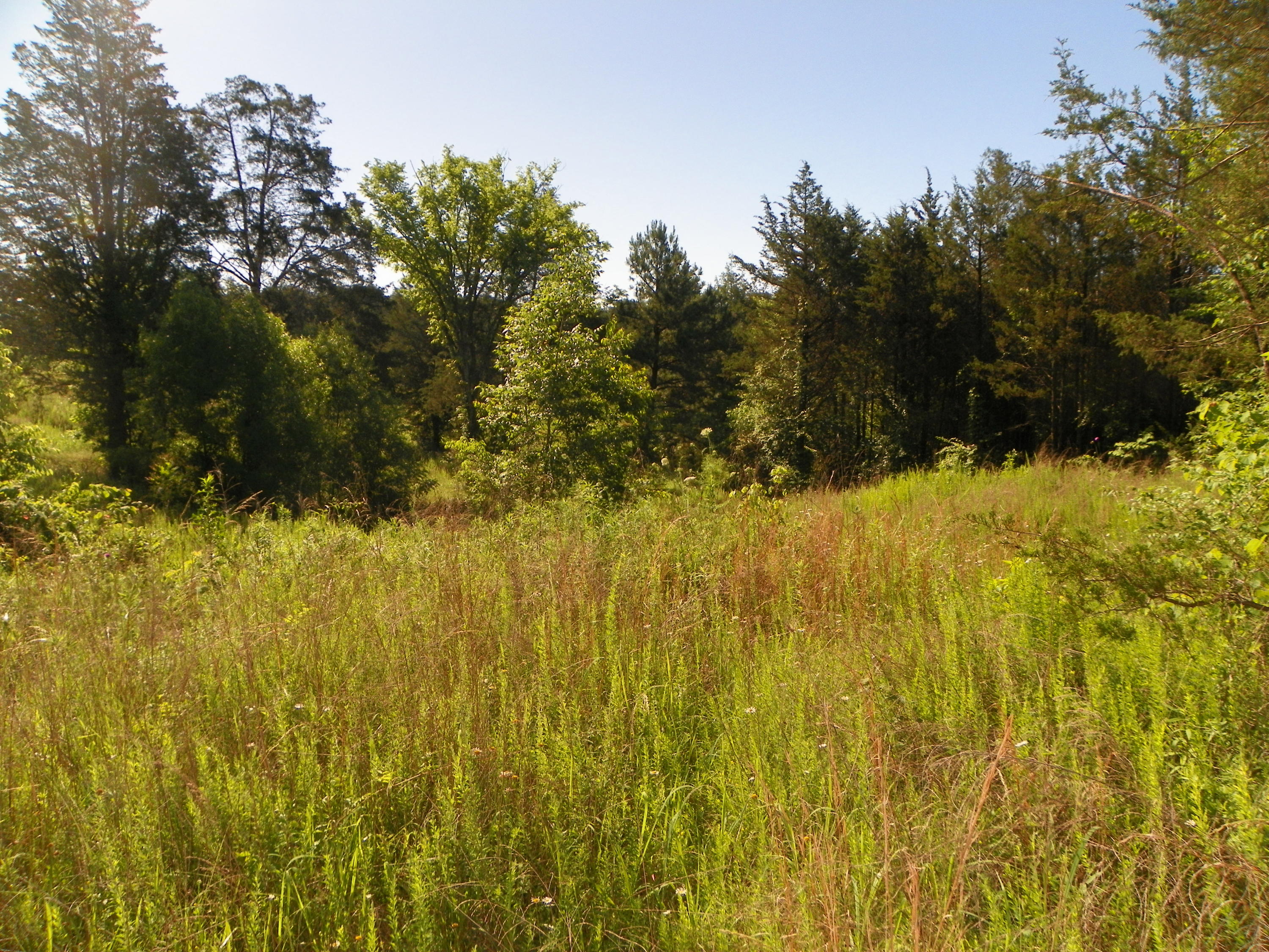 Fortenberry Road Strawberry Plains, TN 37871 - Photo 18 of 20 Property