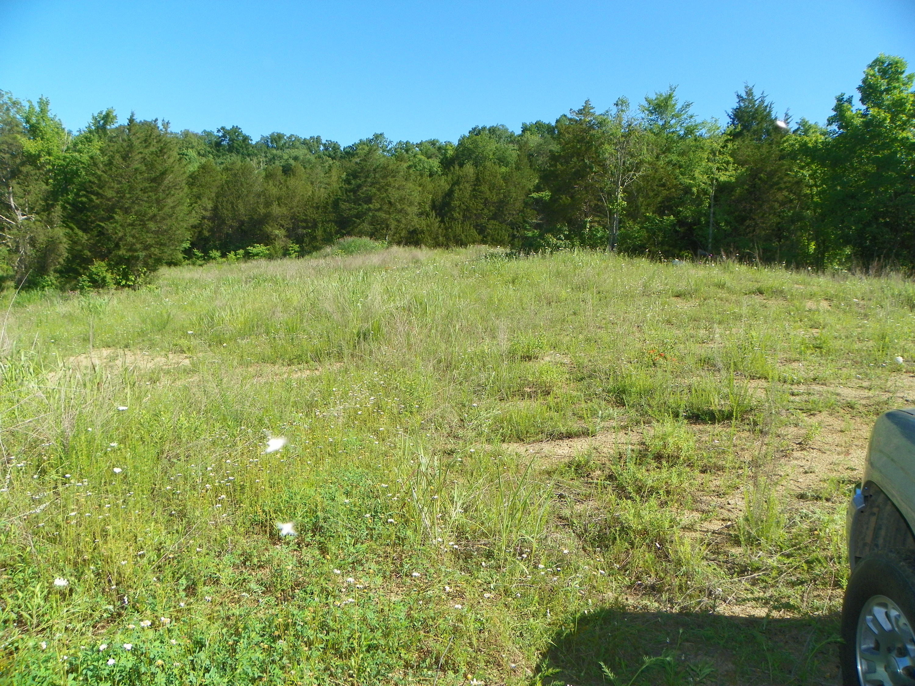 Fortenberry Road Strawberry Plains, TN 37871 - Photo 19 of 20 Room for Animals