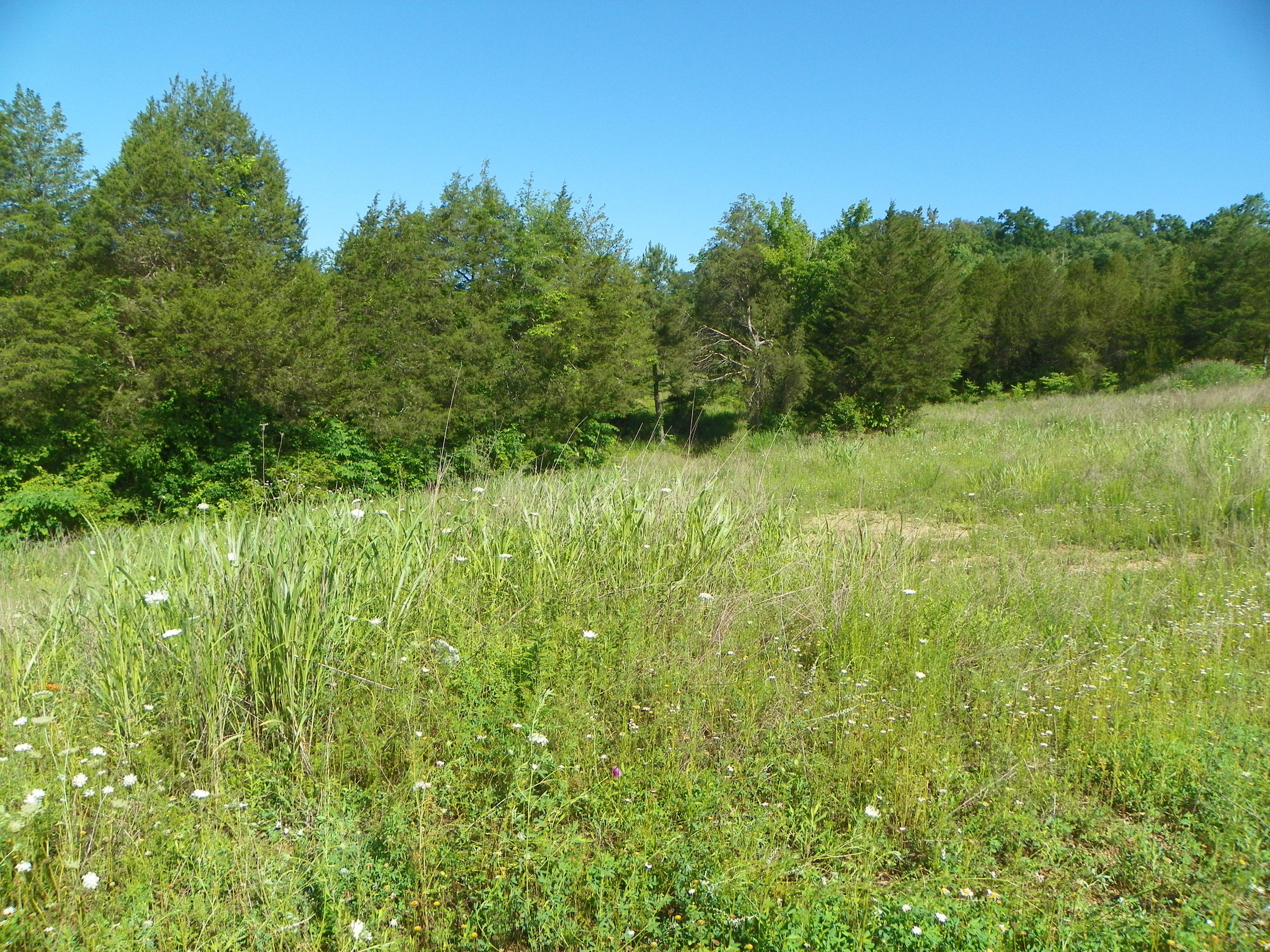 Fortenberry Road Strawberry Plains, TN 37871 - Photo 20 of 20 Several Home Sites