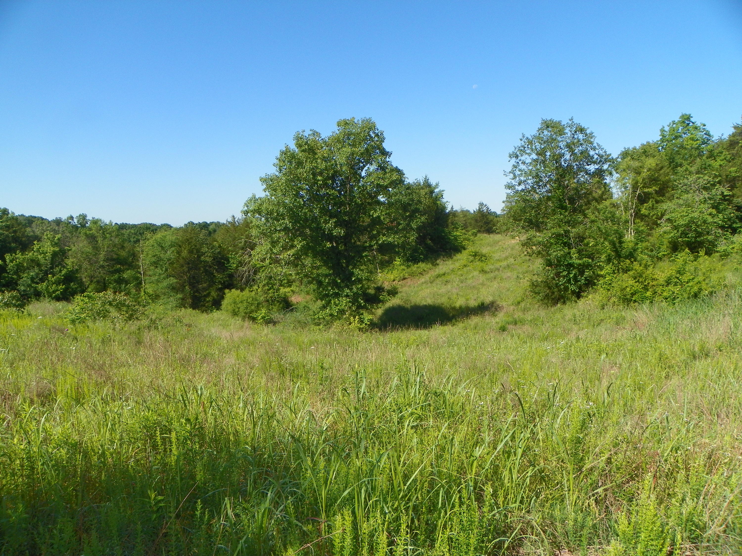 Fortenberry Road Strawberry Plains, TN 37871 - Photo 9 of 20 100_0437