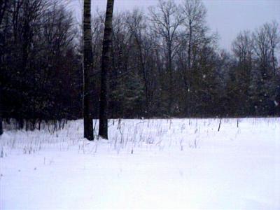 Fogg Lake Road Montague, MI 49437 - Photo 1 of 1 Primary Photo