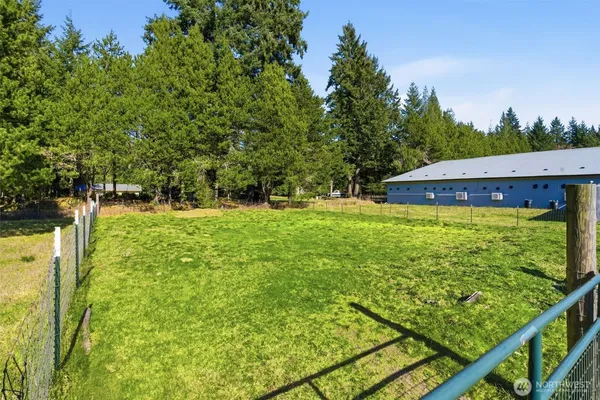 a view of a back yard