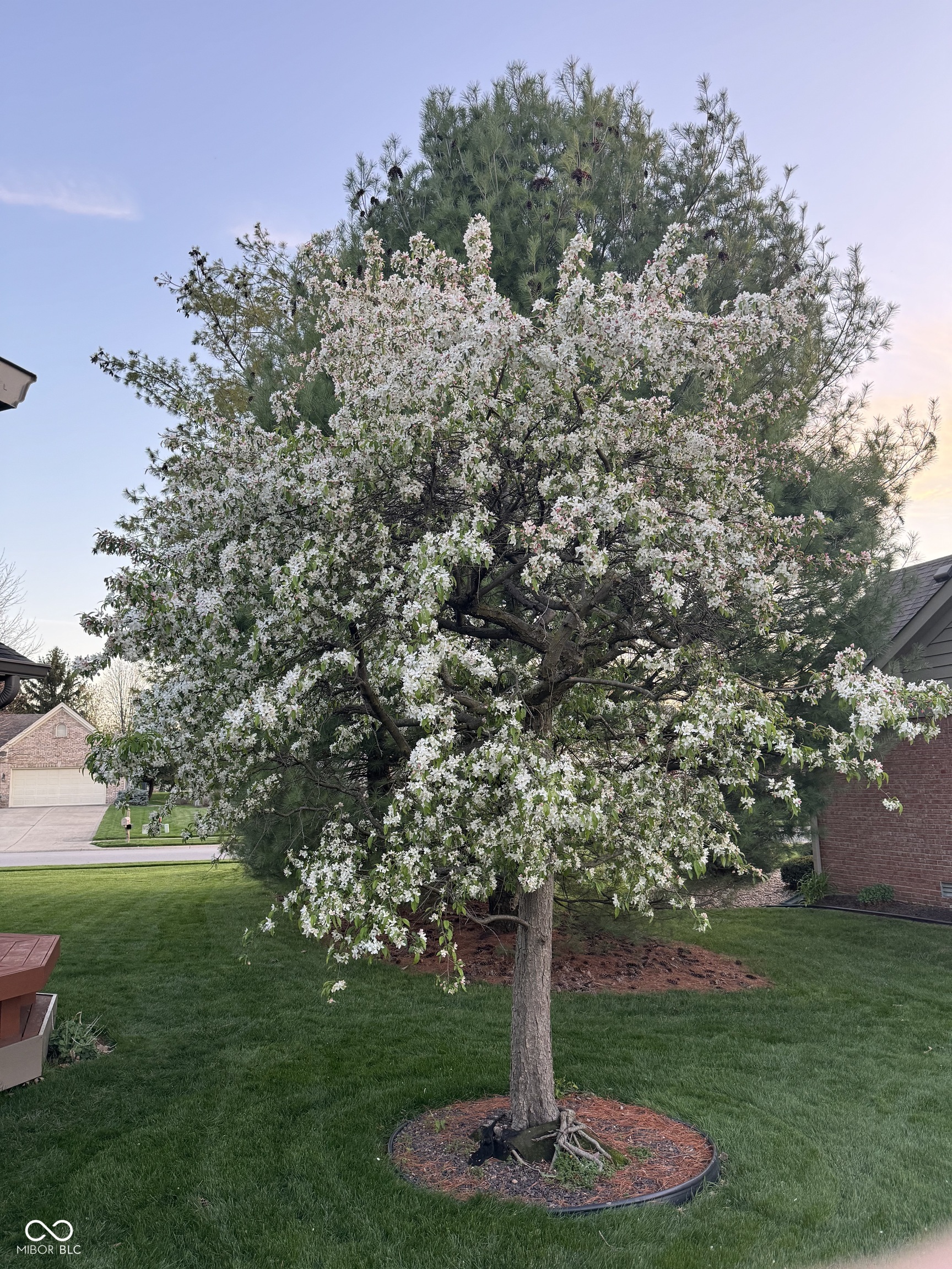 7300 Pymbroke Circle Fishers, IN 46038 - Photo 29 of 49