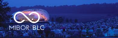 7300 Pymbroke Circle Fishers, IN 46038 - Photo 46 of 49