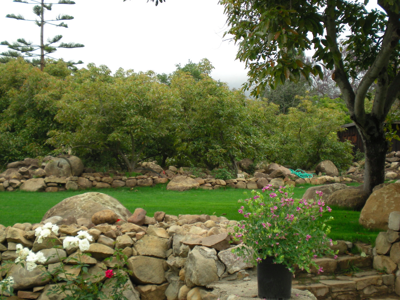 3940 Foothill Road Carpinteria, CA 93013 - Photo 4 of 4 DSCN0067