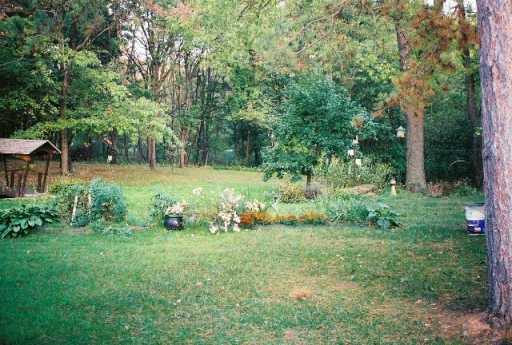 353 Old Plank Road Butler, PA 16002 - Photo 6 of 7 Yard/Garden.