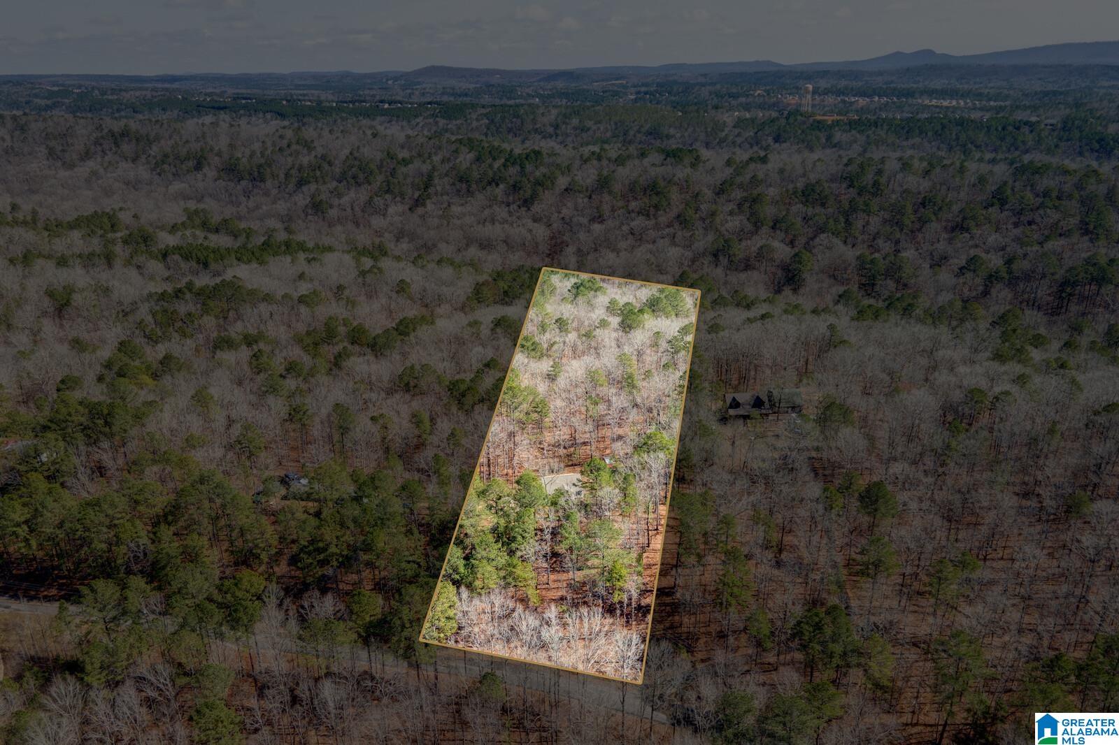 2275 Blackjack Road Trussville, AL 35173 - Photo 35 of 42