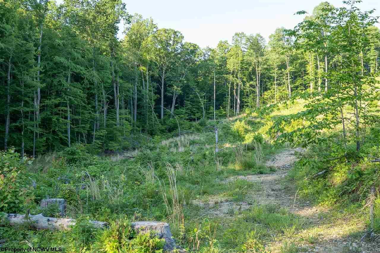 Tbd Hunter Ridge Road Rock Cave, WV 26234 - Photo 14 of 20 Gallery Image 14