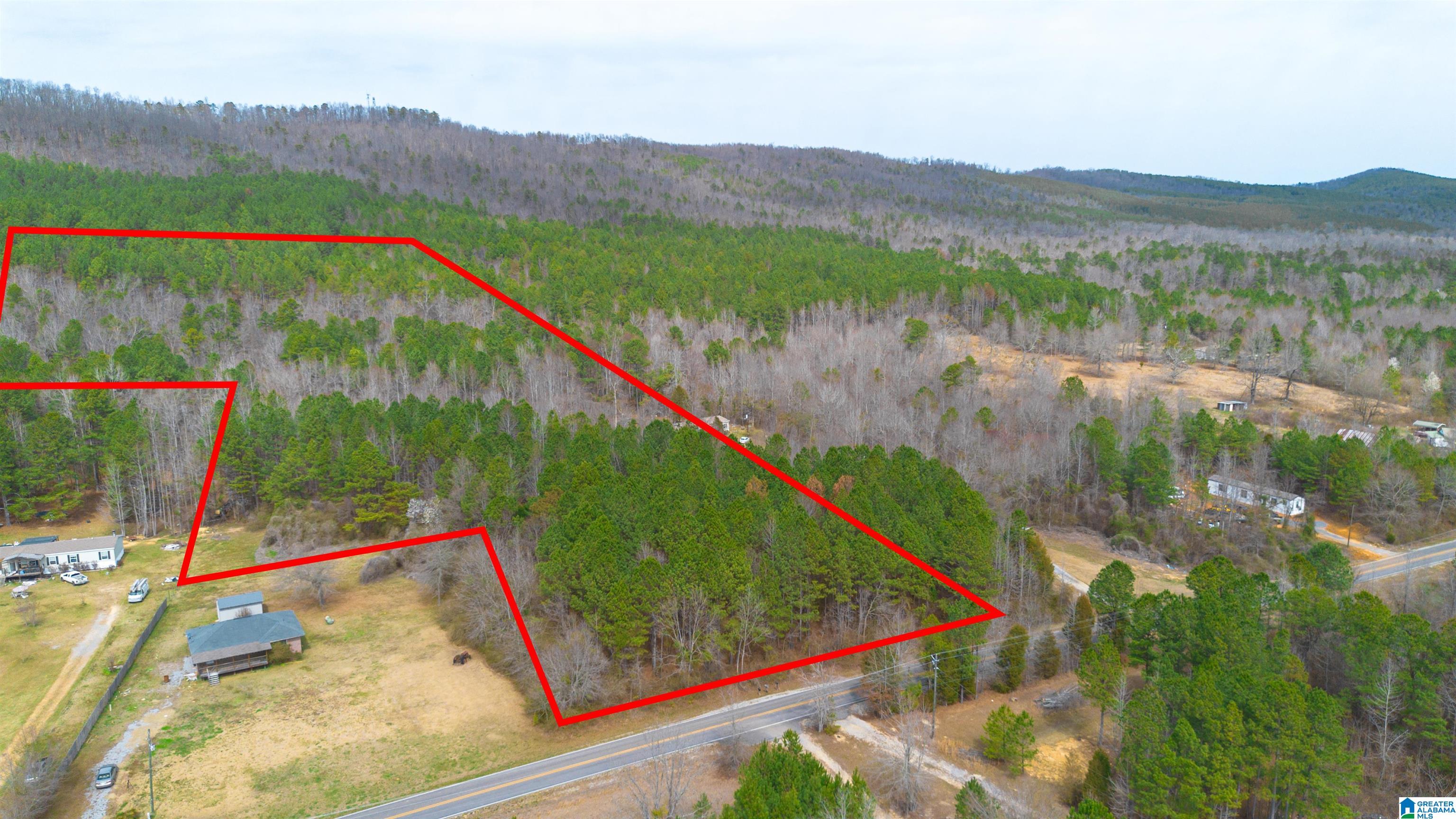 0 Shoal Creek Road Ashville, AL 35953 - Photo 4 of 10