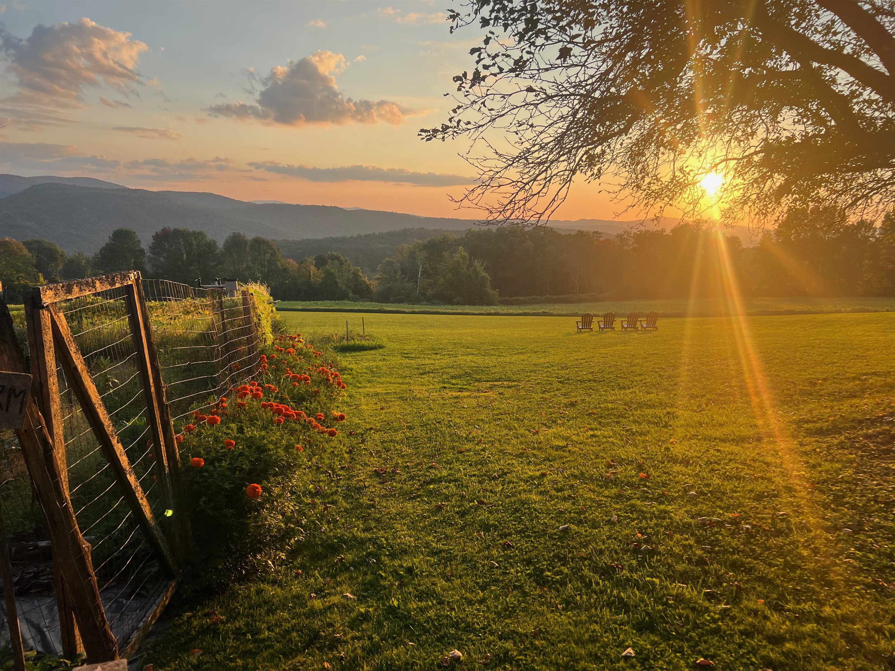 882 Mitchell Road Shrewsbury, VT 05738 - Photo 27 of 41