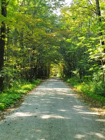 $1,300,000 | 882 Mitchell Road, Shrewsbury, VT 05738