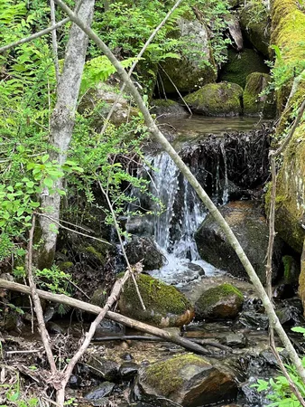 $1,300,000 | 882 Mitchell Road, Shrewsbury, VT 05738