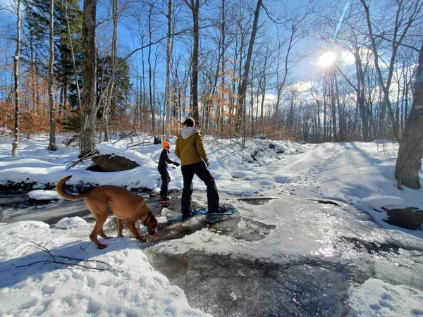 $1,300,000 | 882 Mitchell Road, Shrewsbury, VT 05738