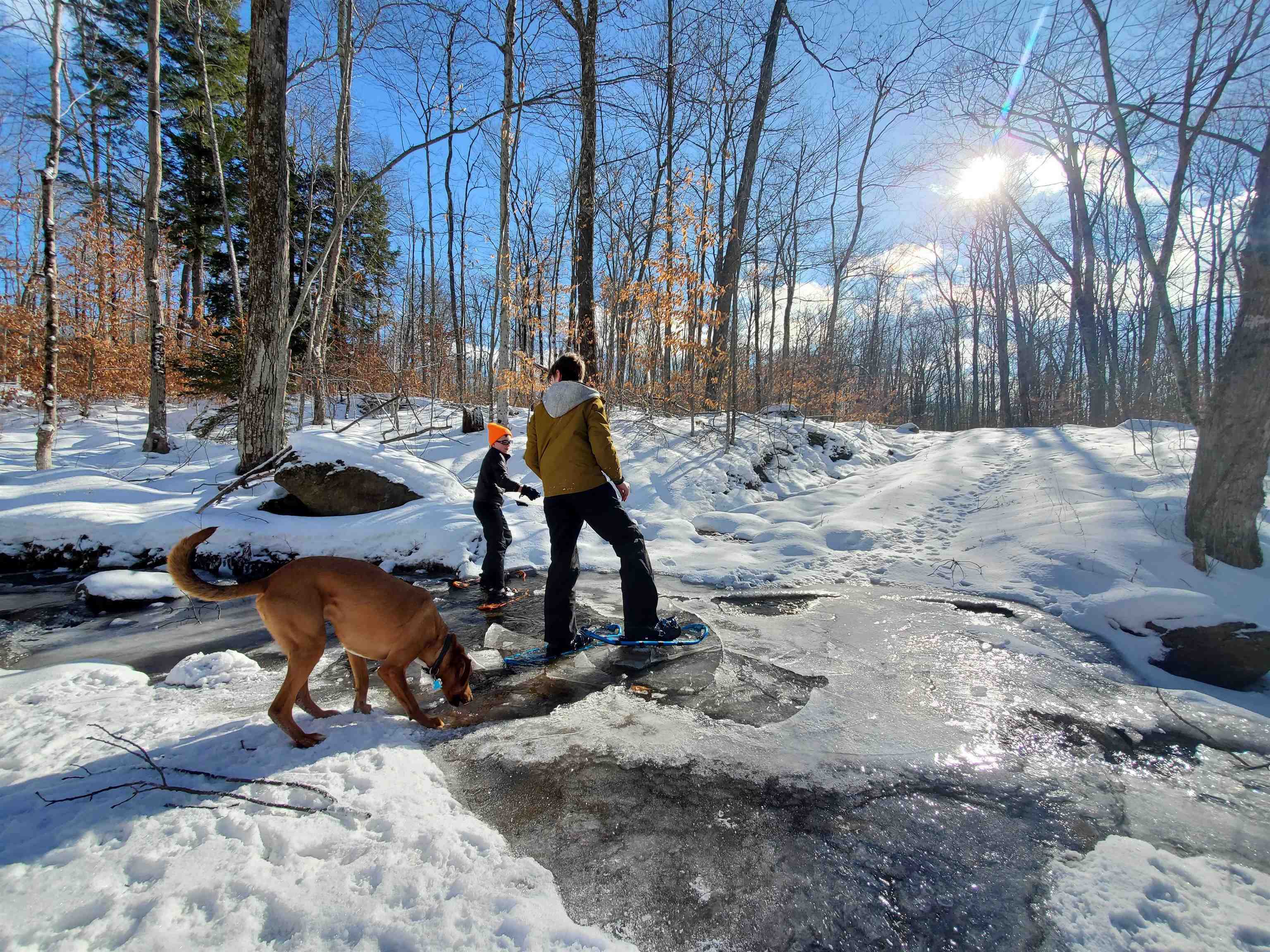 882 Mitchell Road Shrewsbury, VT 05738 - Photo 10 of 41