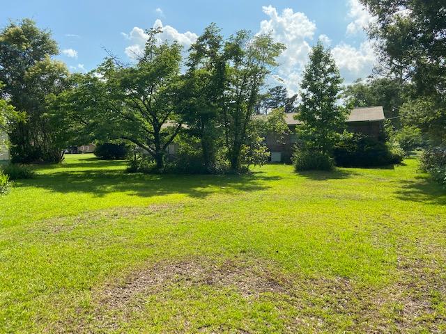 187 Chestnut Avenue Denmark, SC 29042 - Photo 20 of 25 IMG_0035