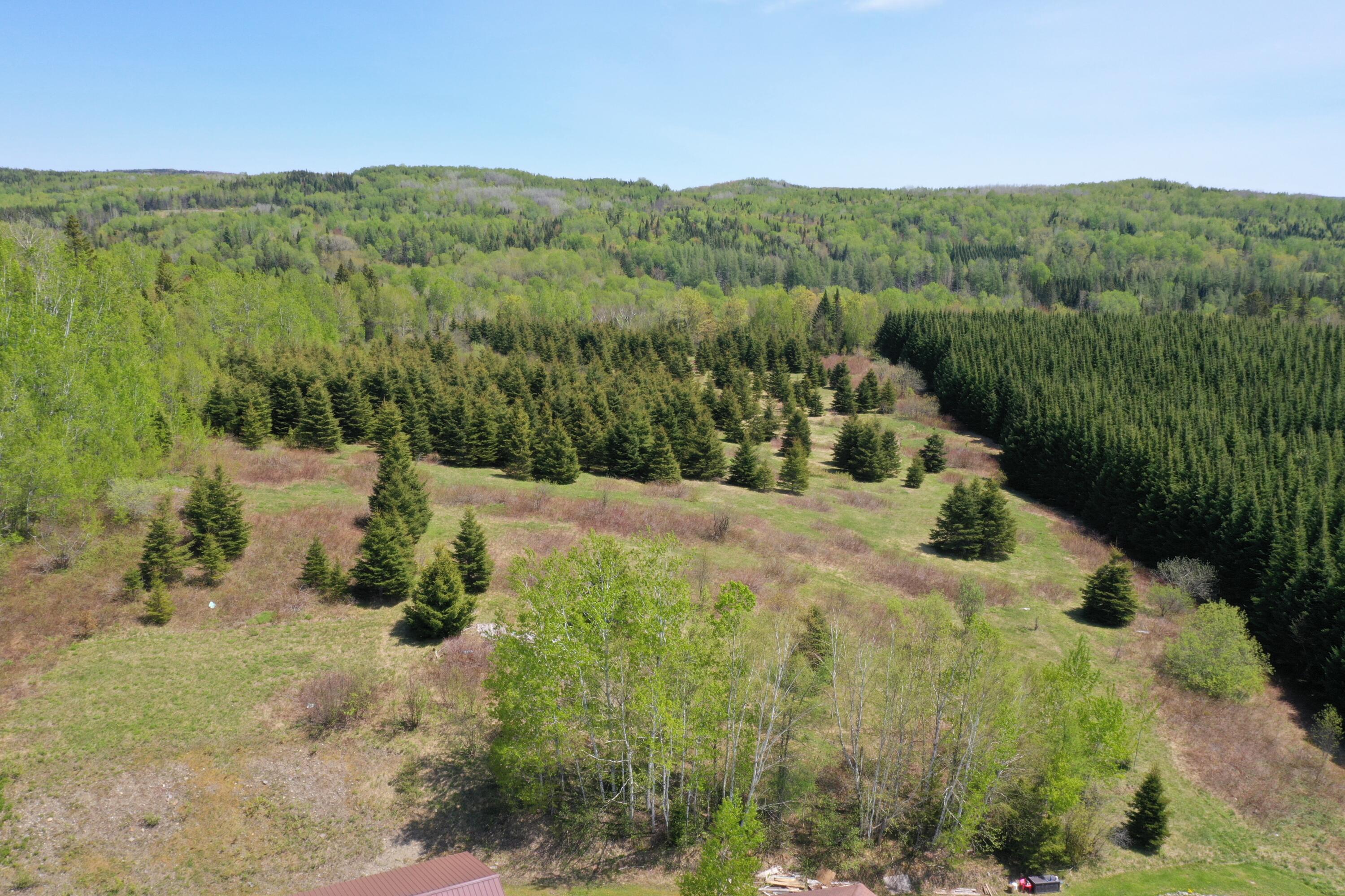 503 Dorsey Road Fort Fairfield, ME 04742 - Photo 4 of 34 DJI_0973