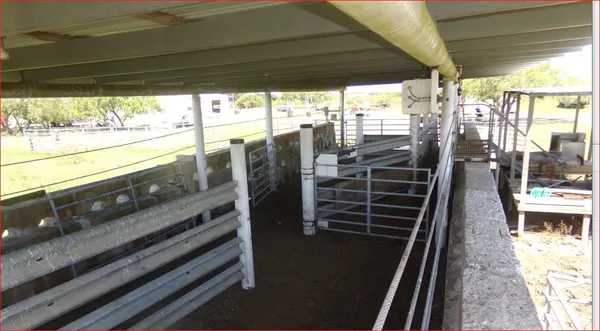 $1,200,000 | 13789 East FM 1944, Odem, TX 78370