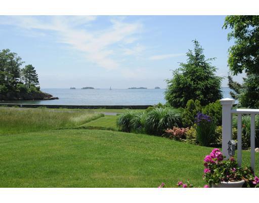 22 Pilot Rock Lane Riverside, CT 06878 - Photo 3 of 11 a view of a garden with plants and large trees