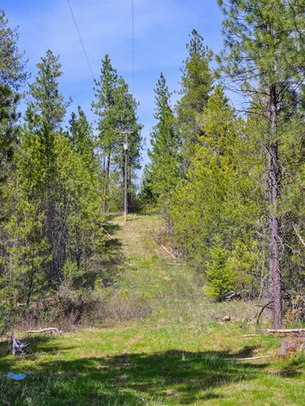 $175,000 | 4464 Woods Way, Springdale, WA 99173