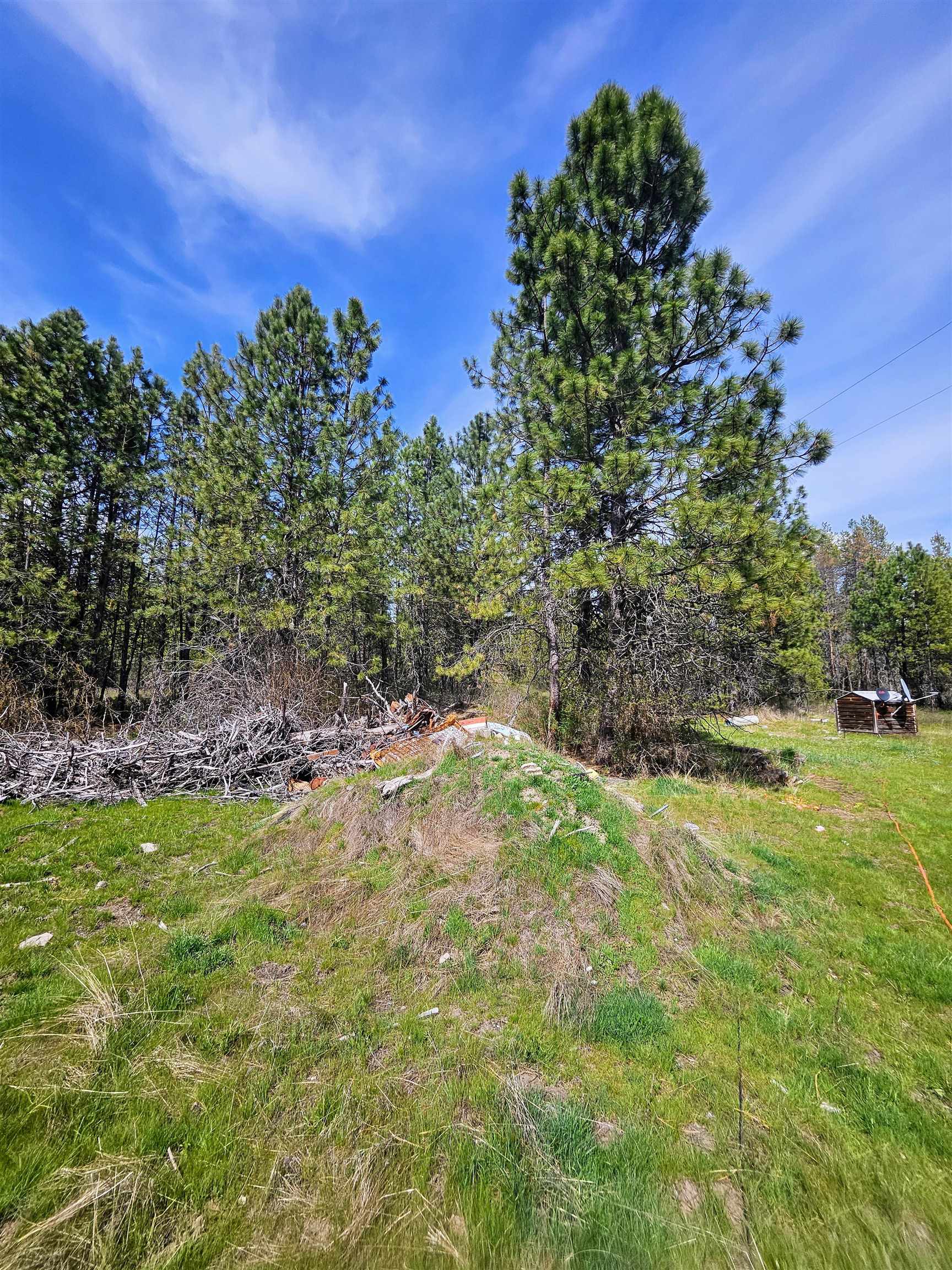 4464 Woods Way Springdale, WA 99173 - Photo 19 of 42