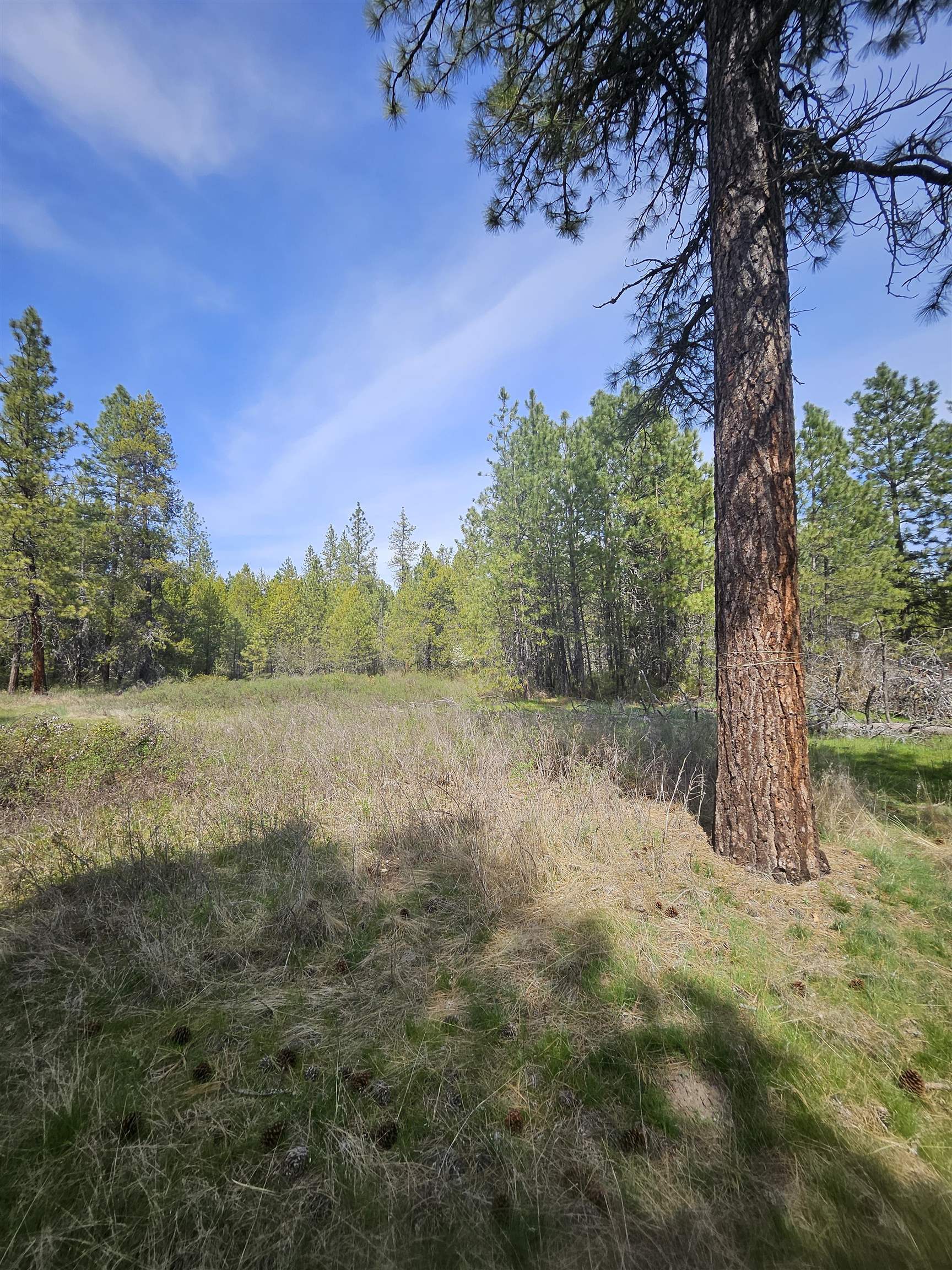 4464 Woods Way Springdale, WA 99173 - Photo 21 of 42