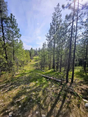 $175,000 | 4464 Woods Way, Springdale, WA 99173