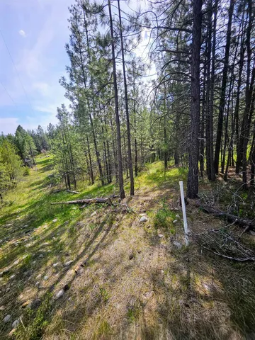 $175,000 | 4464 Woods Way, Springdale, WA 99173