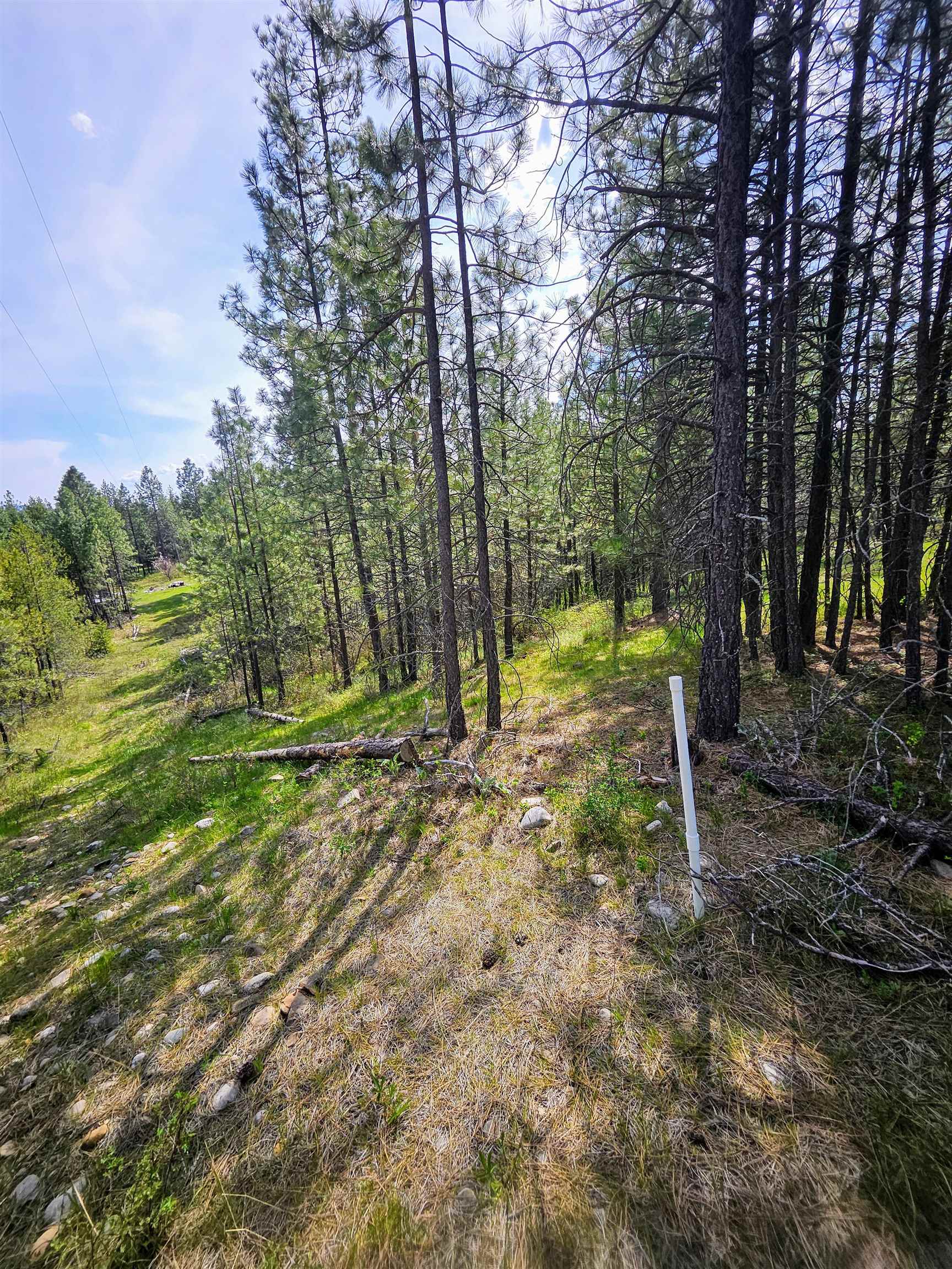 4464 Woods Way Springdale, WA 99173 - Photo 23 of 42