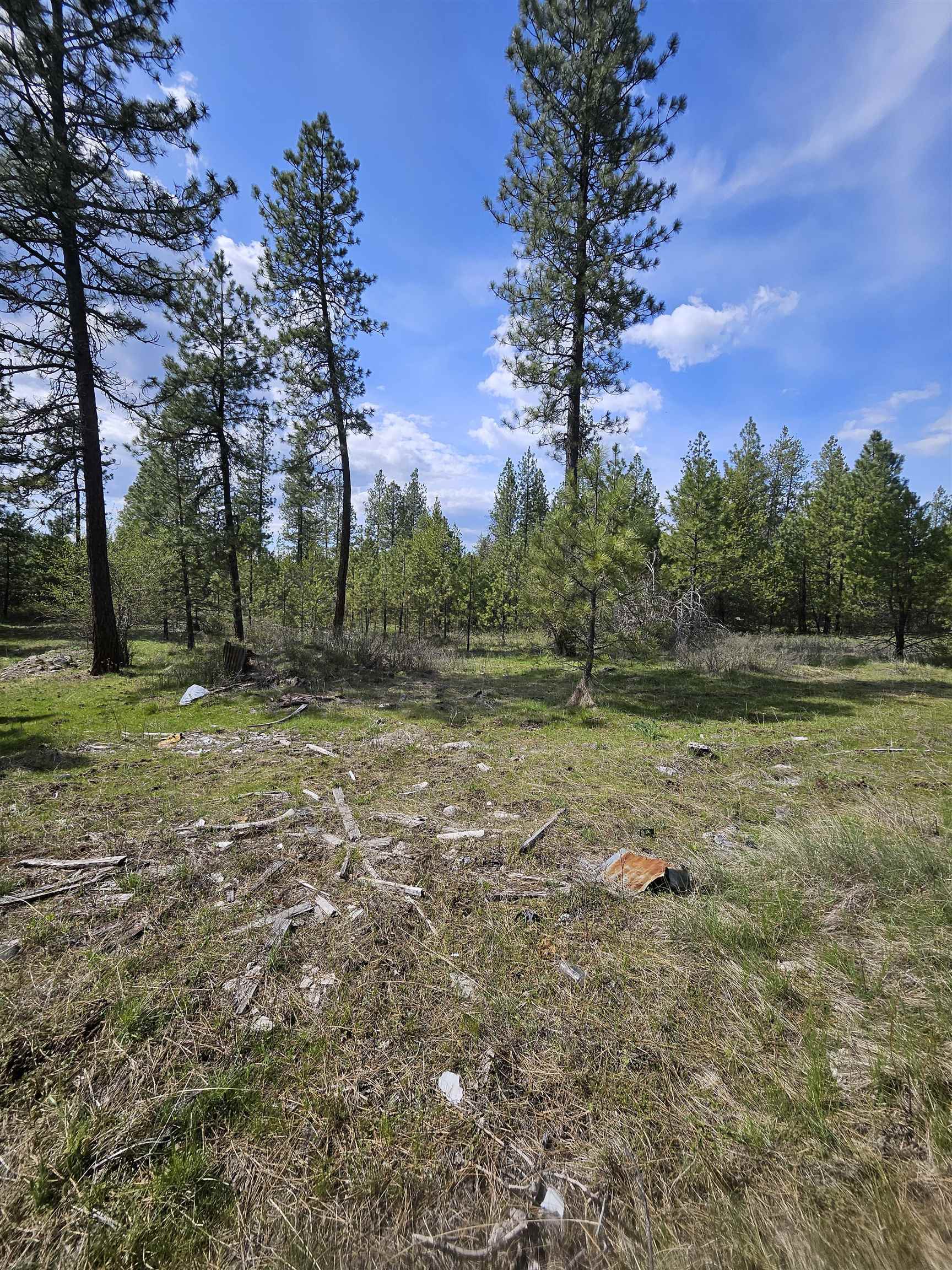 4464 Woods Way Springdale, WA 99173 - Photo 25 of 42