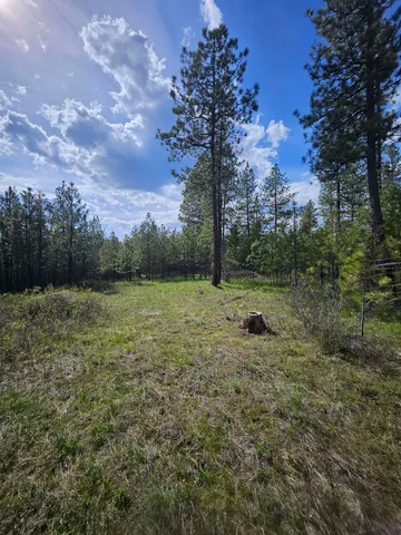 $175,000 | 4464 Woods Way, Springdale, WA 99173