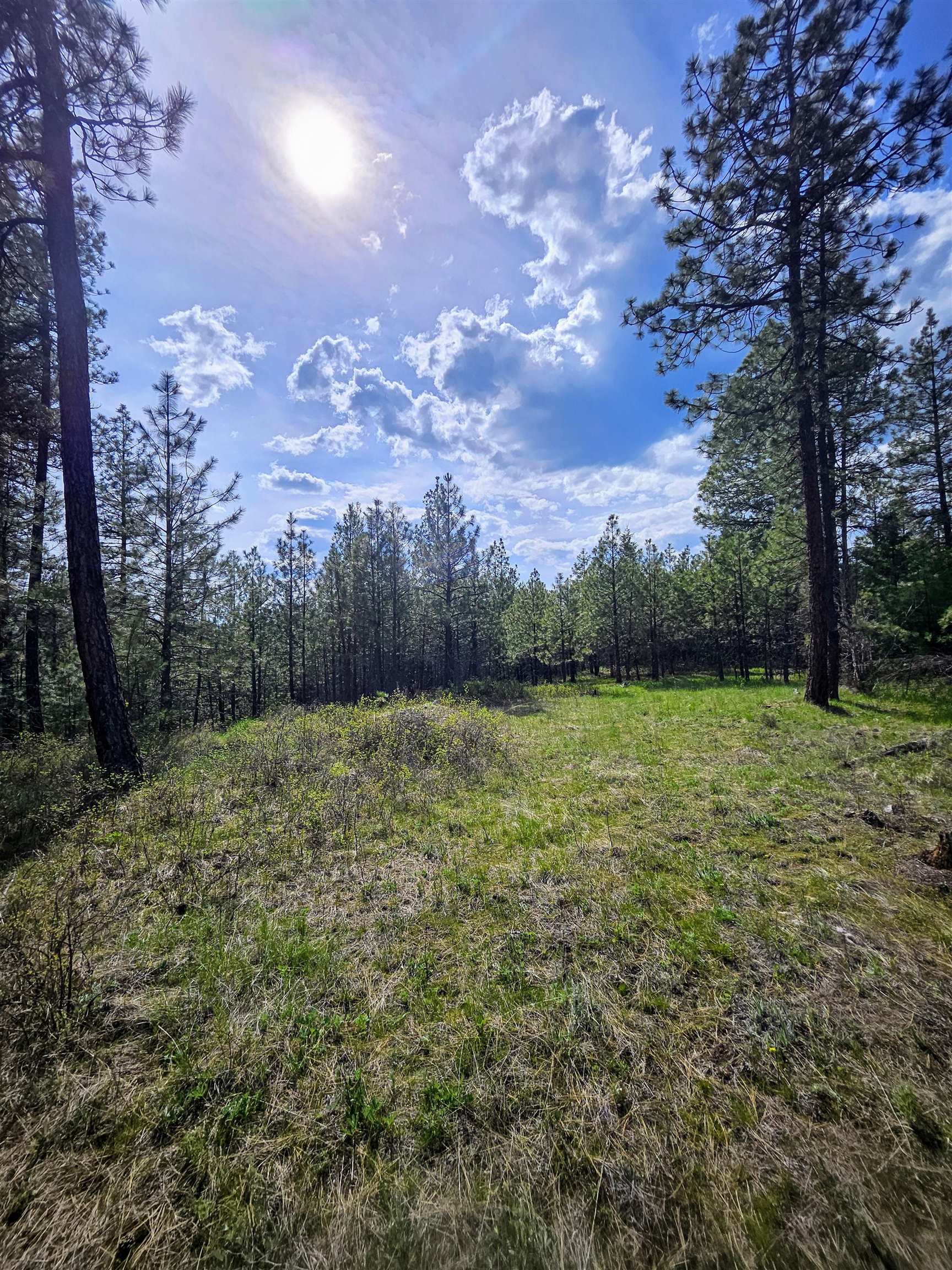 4464 Woods Way Springdale, WA 99173 - Photo 29 of 42