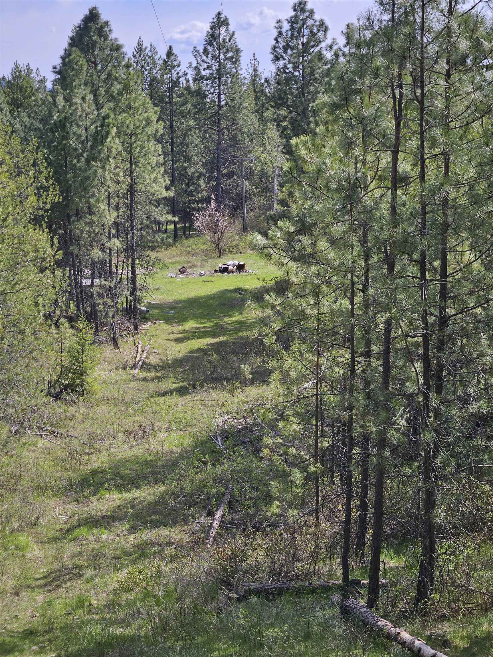 4464 Woods Way Springdale, WA 99173 - Photo 3 of 42