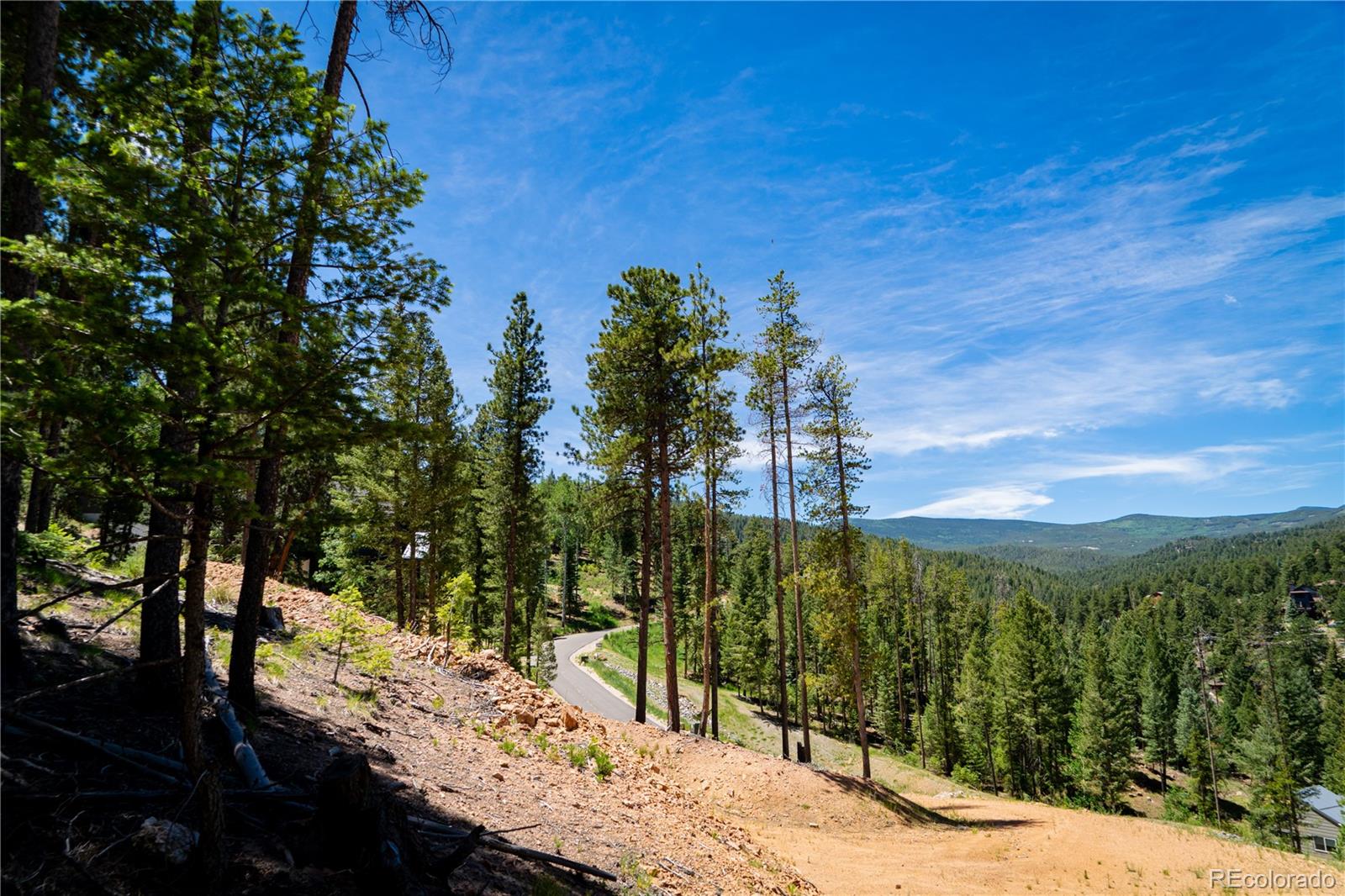 6814 Lynx Lair Road Evergreen, CO 80439 - Photo 19 of 19