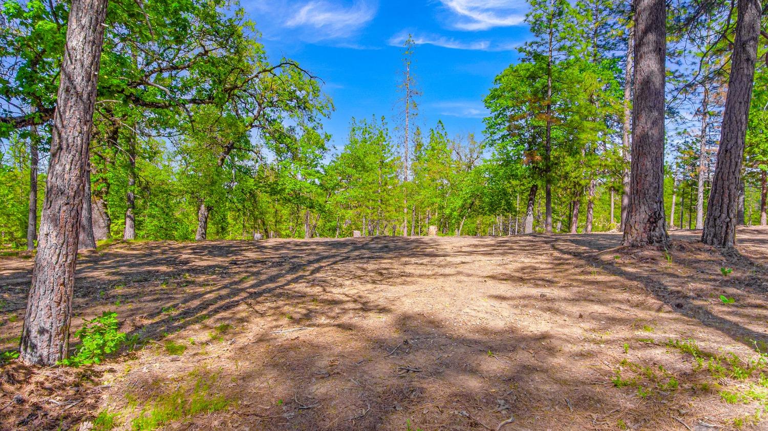 a view of outdoor space and yard