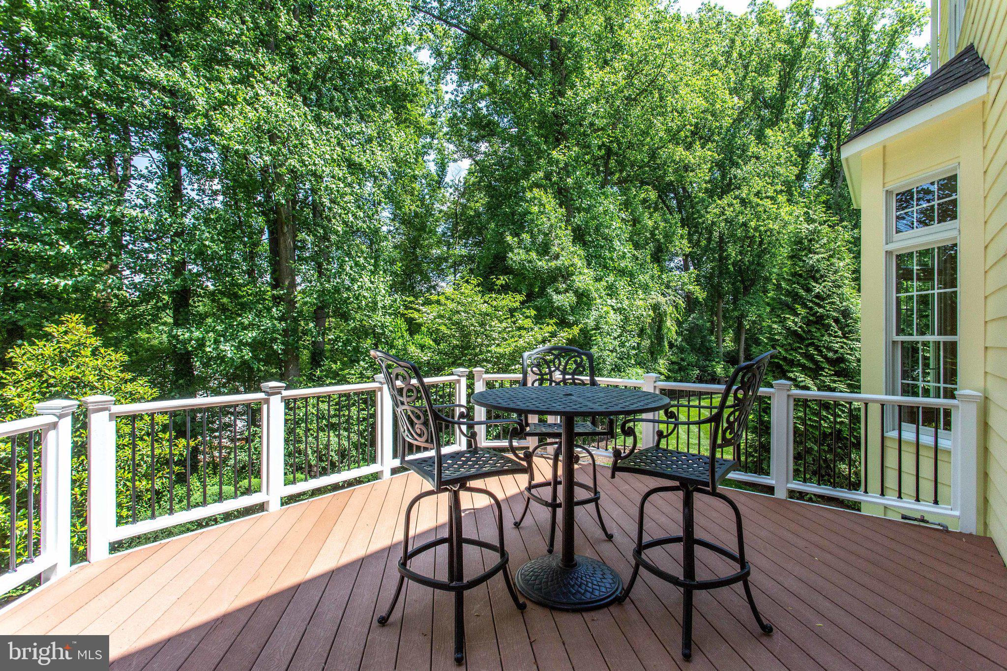 1439 Oakview Drive McLean, VA 22101 - Photo 30 of 48