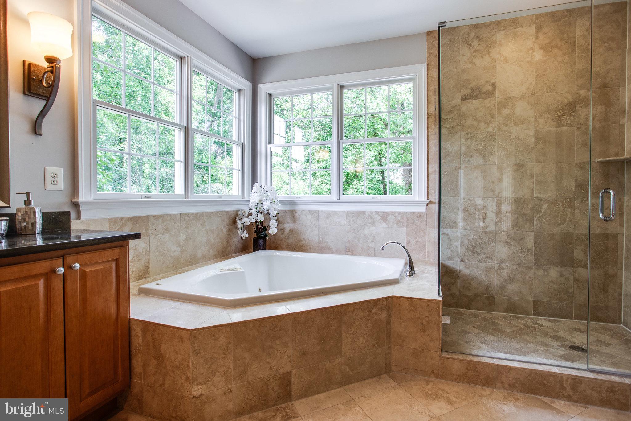 1439 Oakview Drive McLean, VA 22101 - Photo 37 of 48