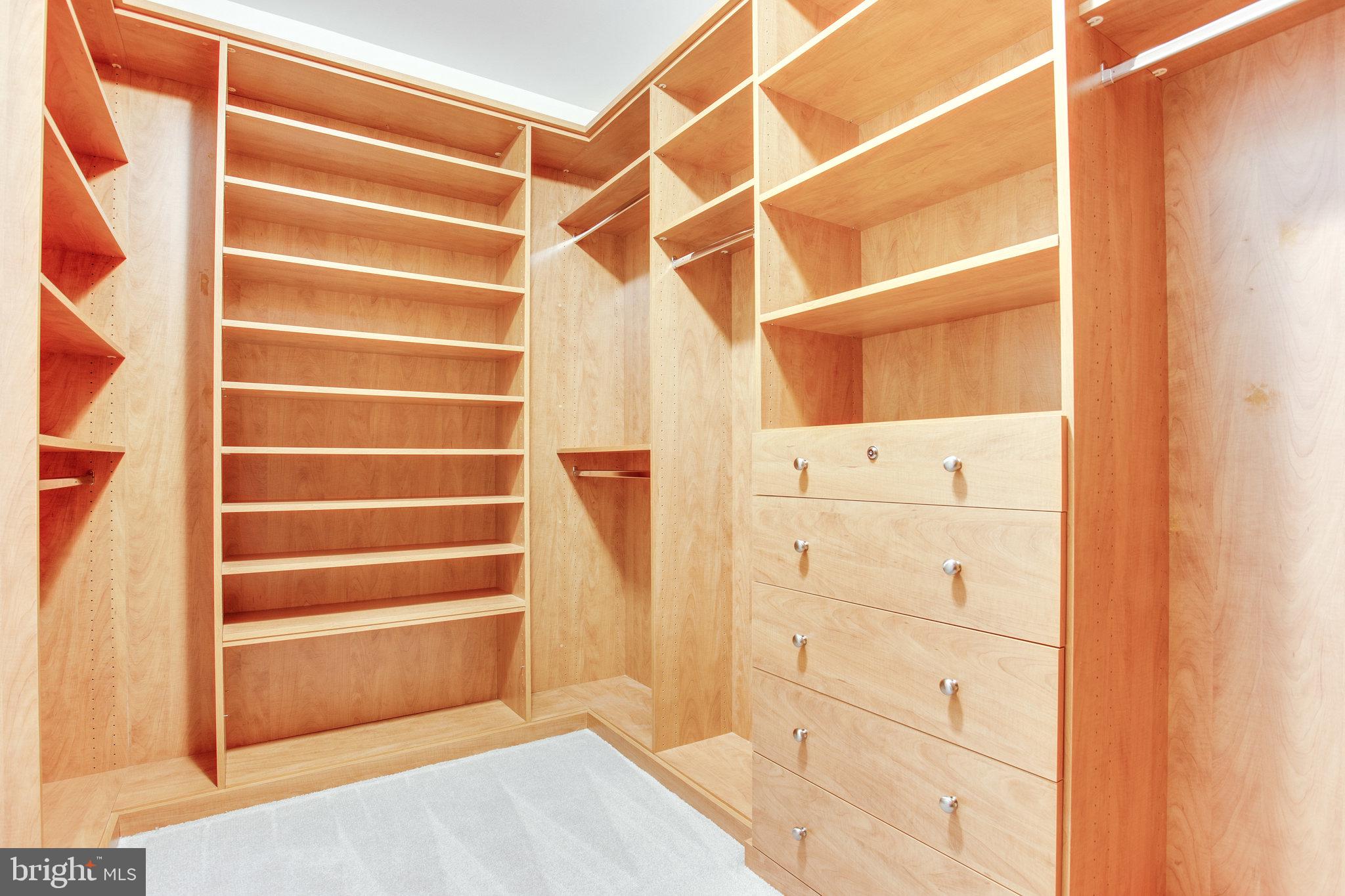 1439 Oakview Drive McLean, VA 22101 - Photo 38 of 48 Primary Closet