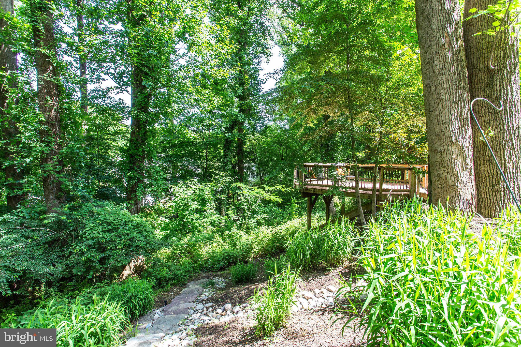 1439 Oakview Drive McLean, VA 22101 - Photo 45 of 48