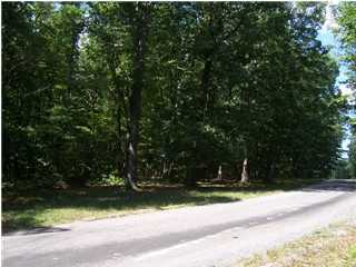 5 Firetower Road Dunlap, TN 37327 - Photo 3 of 8 Additional Photo