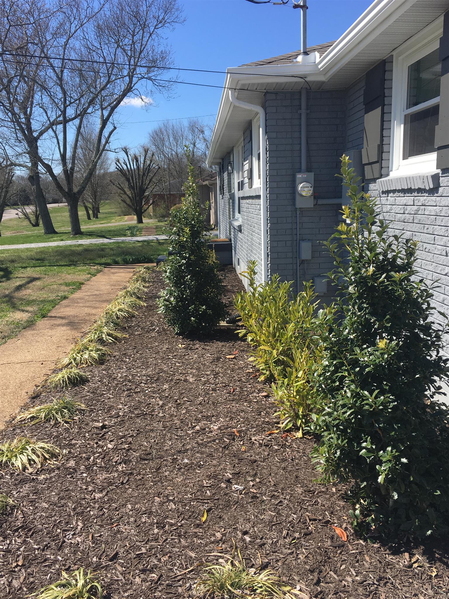 825 East Campbell Road Madison, TN 37115 - Photo 3 of 20 New Landscaping