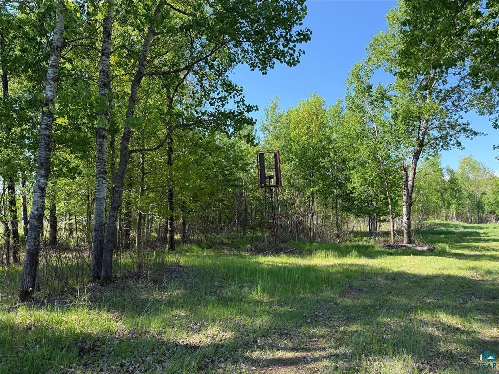 54003 Dollar Lake Road Sandstone, MN 55072 - Photo 16 of 40