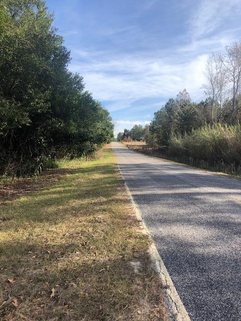 0 Stokes Bridge Road West, Unit LOT 4 Bishopville, SC 29010 - Photo 5 of 8