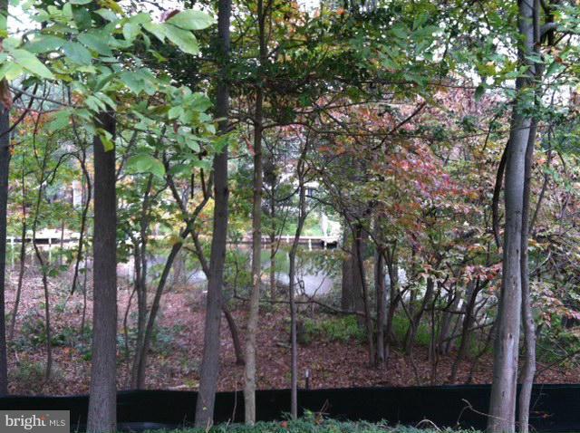 Chartham Lane Severna Park, MD 21146 - Photo 3 of 8 a view of forest