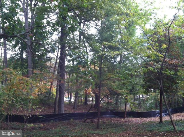 Chartham Lane Severna Park, MD 21146 - Photo 4 of 8 a view of forest