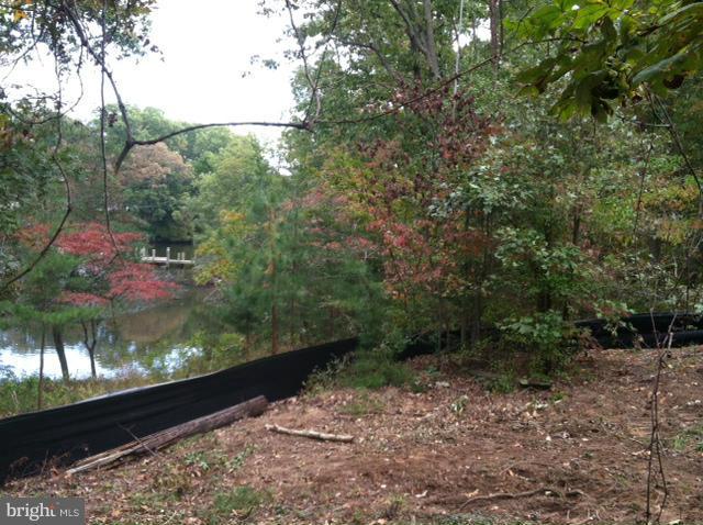 Chartham Lane Severna Park, MD 21146 - Photo 5 of 8 a view of a yard with a tree