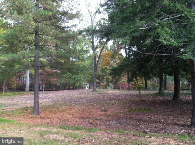 Chartham Lane Severna Park, MD 21146 - Photo 6 of 8 a backyard of a house with lots of trees