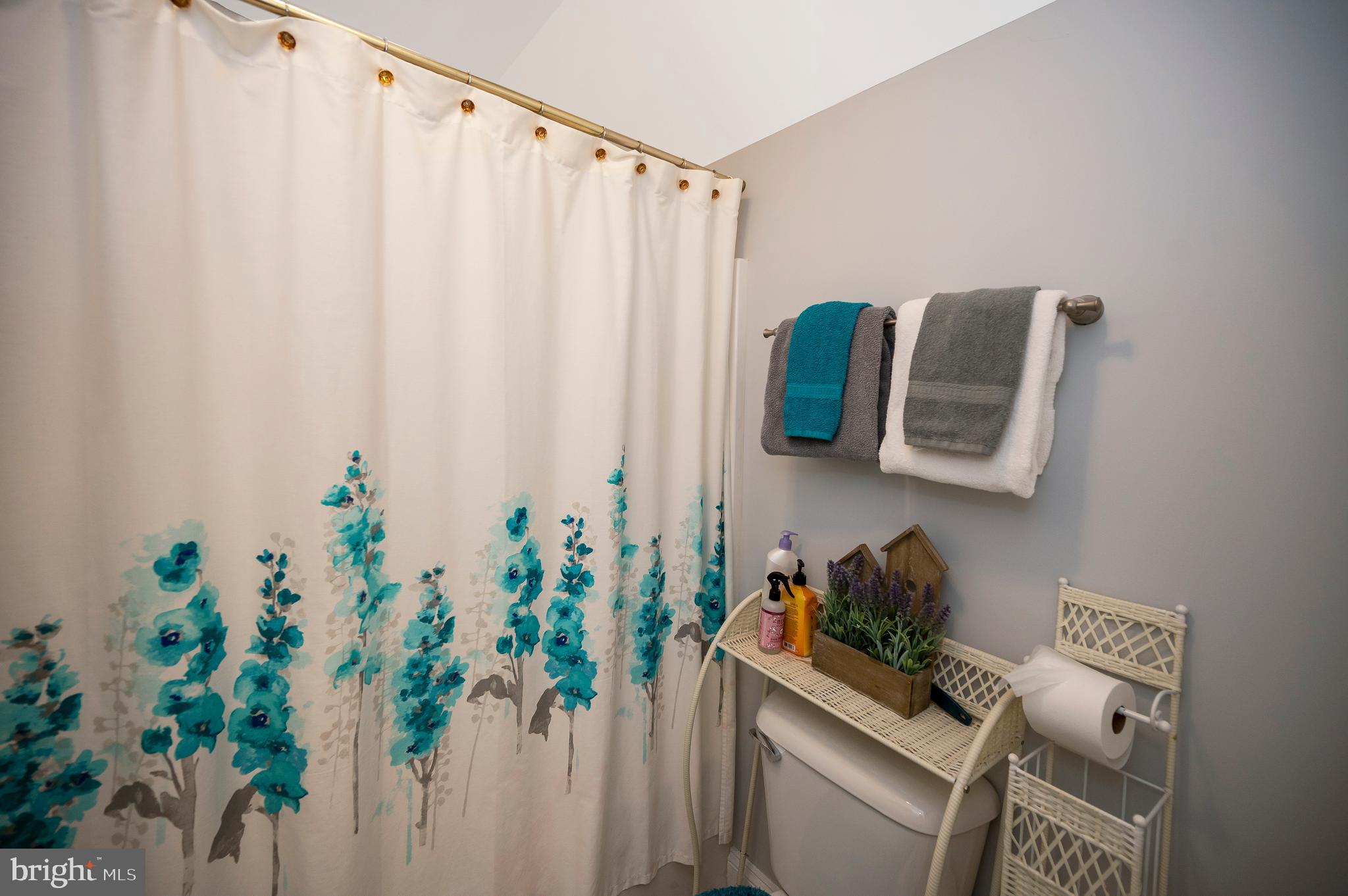 28229 Beech Drive Rhoadesville, VA 22542 - Photo 32 of 62 a room that has a plant and a chair in it