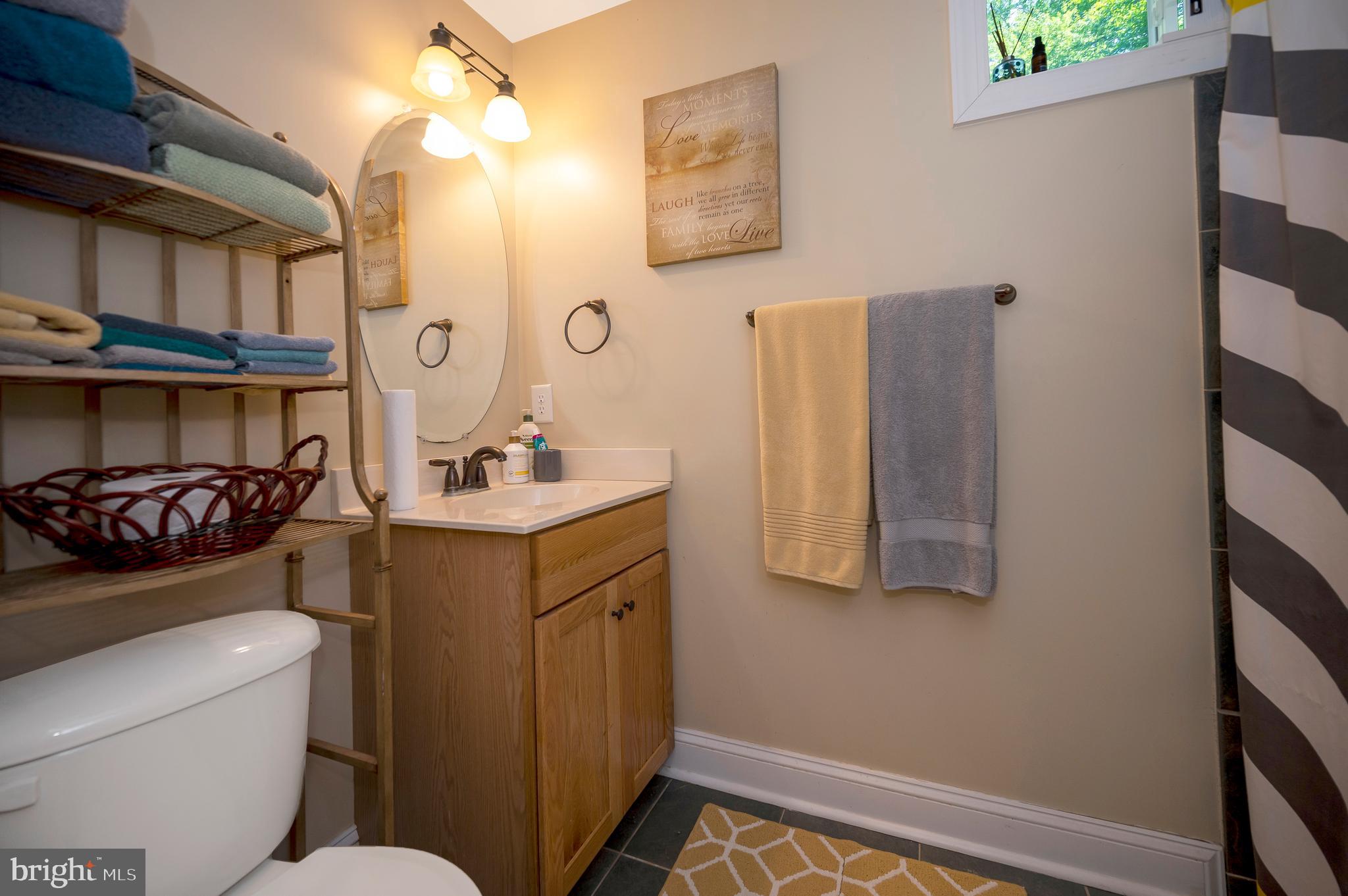 28229 Beech Drive Rhoadesville, VA 22542 - Photo 39 of 62 a bathroom with a sink vanity mirror and toilet